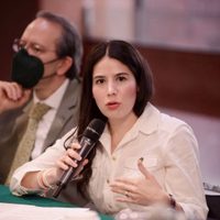 He sido expulsada por no seguir ciega obediencia: diputada Verde que votó contra reforma eléctrica