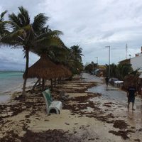 Prevén que "Franklin" se convierta en huracán y toque tierra el jueves en costas del Golfo