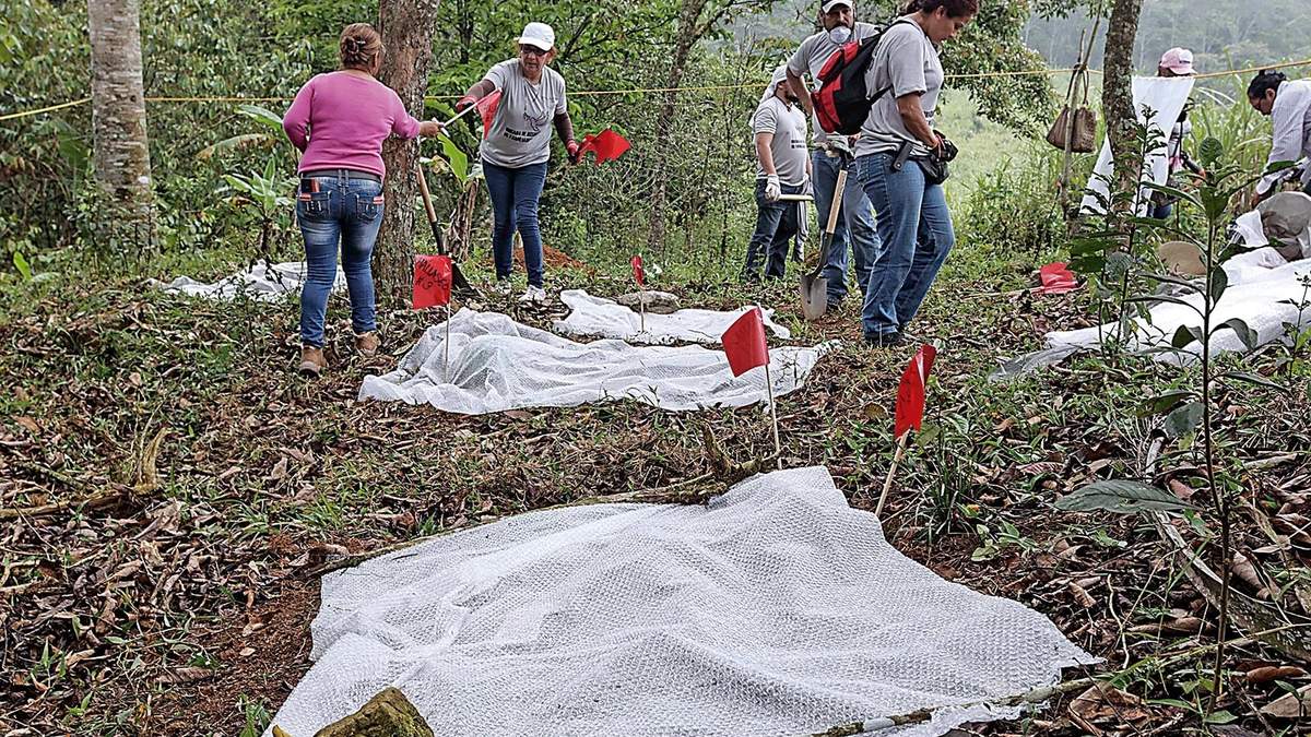 Búsqueda de desaparecidos