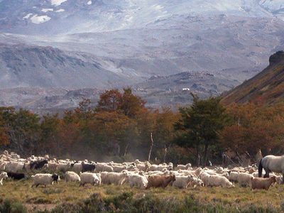 Buscan mejorar la calidad de vida en parajes del norte neuquino