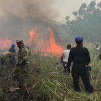 Ante incendios forestales suman 24 los municipios bajo emergencia en Chiapas