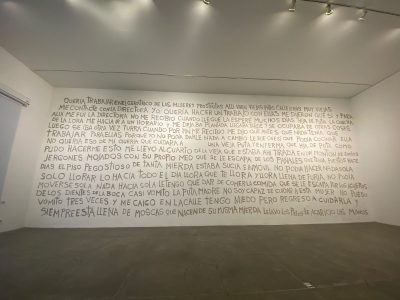 El MUAC retira obras de la artista Ana Gallardo tras controversia y pide disculpas