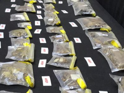 Curador del museo de Historia Natural de EU es arrestado por contrabando de arañas en Turquía