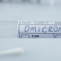 Chile confirmó su primer caso de la variante Ómicron del coronavirus