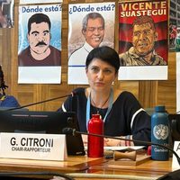 México presume en la ONU "alta prioridad" en la búsqueda de desaparecidos