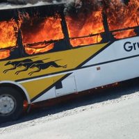Conmoción en Neuquén Capital, se incendió un colectivo de Autobuses Neuquén