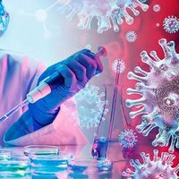 Último reporte: nuevo caso de coronavirus en Neuquén