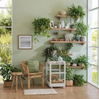 5 plantas que son perfectas para darle vida a esos rincones de poca luz que tenés en tu hogar