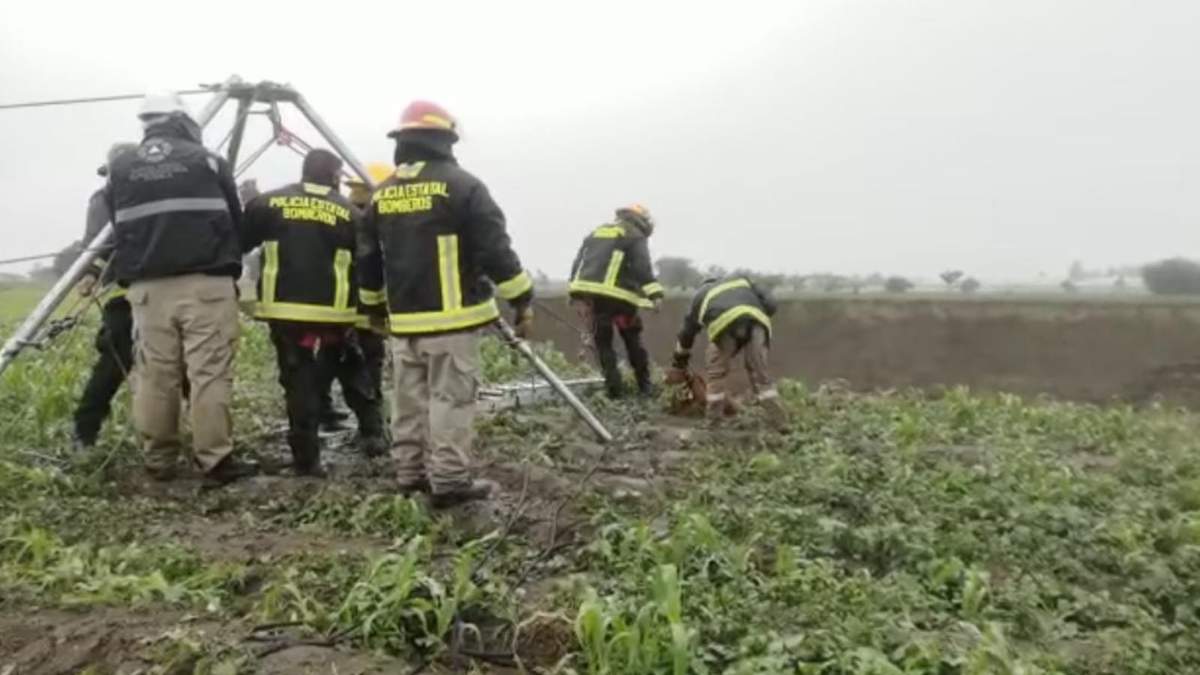En medio de lluvia, bomberos lograron rescatar a los dos perros