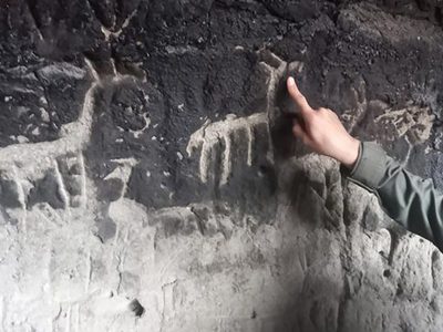 Sorprendente hallazgo en cuevas cercanas a Junín de los Andes: conocé los detalles
