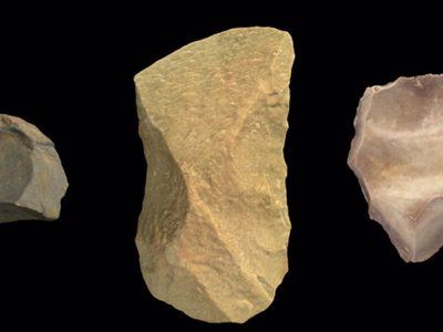 Los humanos llevamos 600 mil años acumulando conocimiento cultural