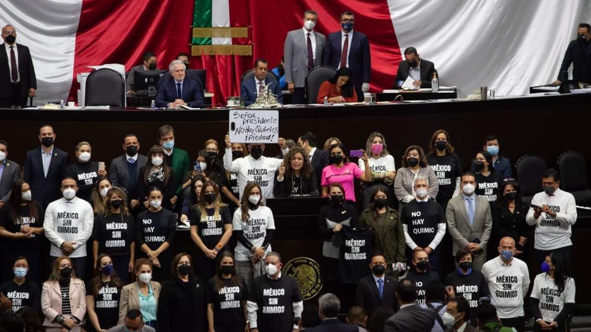 Sesión en la Cámara de Diputados