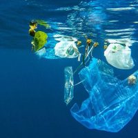 Greenpeace México solicitó a juez federal que se legisle para prohibir los plásticos de un solo uso