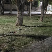 Apuñalado en riña callejera en Centenario: un herido y el agresor prófugo