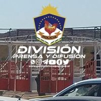 Organizaban carreras de caballos y apuestas en un barrio de Villa El Chocón