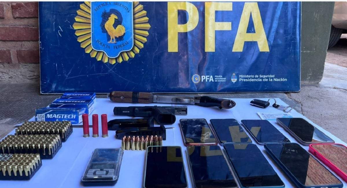 La banda liderada por "La Reina Blanca" abastecía de armas a delincuentes de la zona y vendía drogas. Fuente (Ministerio de Seguridad de Nación)