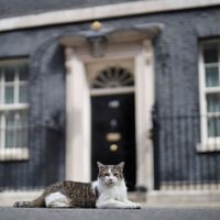 ¿Cuál es el protocolo ante la muerte de Larry, el gato de la residencia del primer ministro?