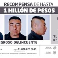 'El Bukanas”, de mando policial y sicario Zeta a líder huachicolero