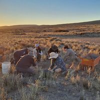 Descubren fósiles y huellas de dinosaurios en Covunco y avanzan en la reconstrucción del ecosistema prehistórico