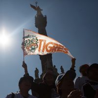 Empresarios yucatecos adquieren al club Tigres de Quintana Roo