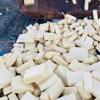 Detectan y destruyen en Chihuahua 10.6 toneladas de queso menonita contaminado