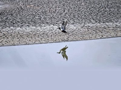 Sombrío panorama de la OMM para México: Megasequías, crisis alimentaria, aumento de temperatura...