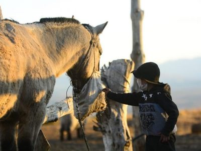 El nene y su caballo: varado en un pueblo de Neuquén, pudo cumplir su sueño