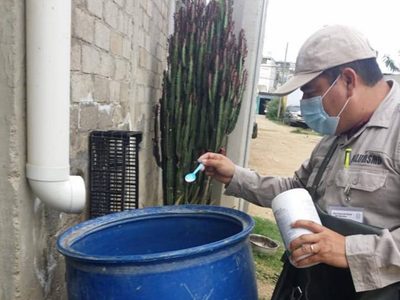 Oaxaca registra 11 muertes por dengue