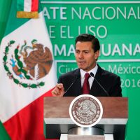 Propone Peña elevar dosis de mariguana y permitir su uso medicinal