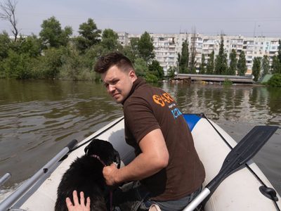 Voluntarios rescatan perros, gatos y otros animales tras ruptura de presa en Ucrania