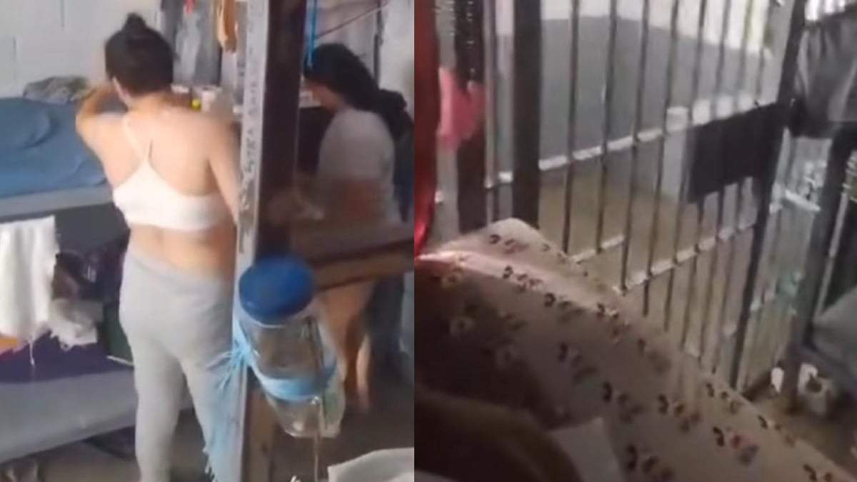 Fragmentos de la transmisión en vivo