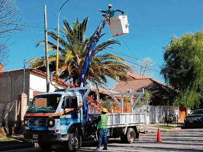 Otro robo de cables en Centenario preocupa a la Cooperativa Telefónica