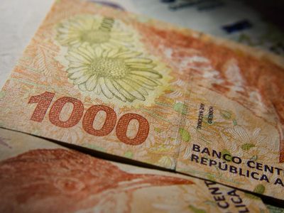 ANSES: cómo y cuándo anotarse para la beca que paga más de $20.000