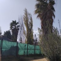Fuertes ráfagas que anticipan el frente frío