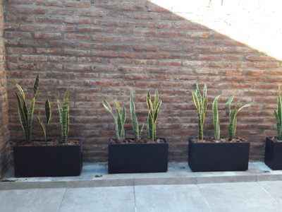 El truco efectivo y necesario para que tus macetas de fibrocemento nunca más se manchen de humedad