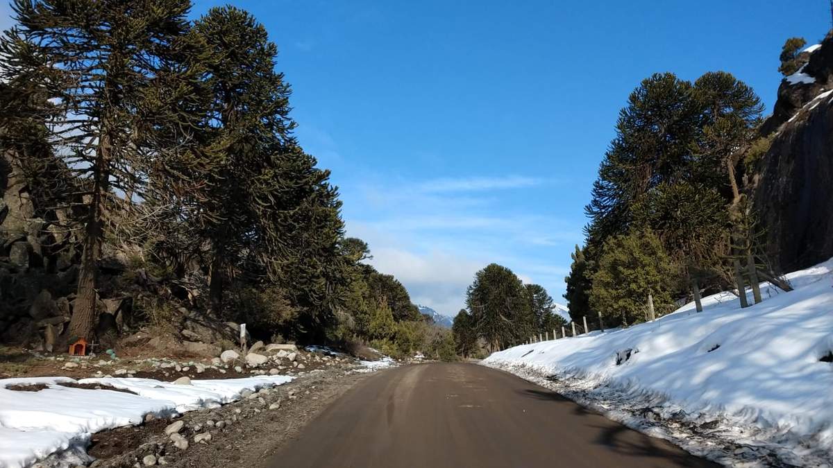 Una de las rutas habilitadas en Neuquén. Fuente:(Twitter)