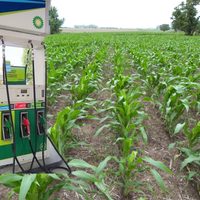 El IAE Mosconi presentó críticas al nuevo proyecto de ley para el sector de los biocombustibles