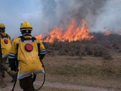 Incendios en Corrientes: casi un millón de hectáreas fueron afectadas