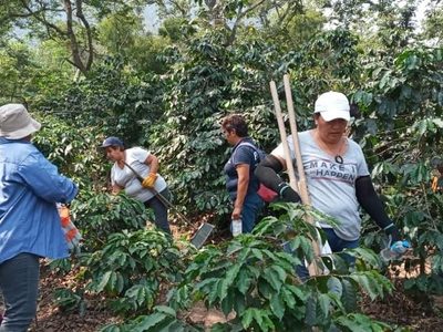 Pese a fricción con fiscalía, colectivo rescata 11 cuerpos de fosa en Ixtaczoquitlán
