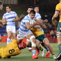 Los Pumas: nuevo resultado histórico tras la victoria ante los All Blacks