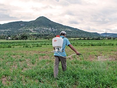 Unión Hidalgo: despojo eólico o justicia agraria