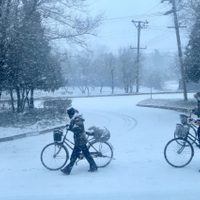 El gobierno de Corea del Norte publicó una alarma por "frío extremo"