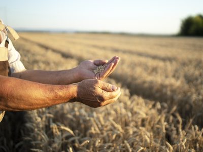 Federación Agraria: “La baja de retenciones no beneficia al campo chico"