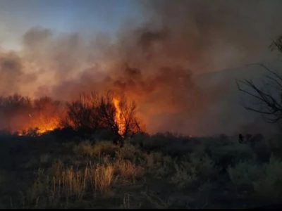 En un incendio forestal en Butaco, los bomberos lucharon contra las llamas a solo metros de viviendas