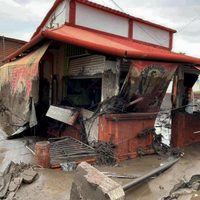 Jalisco: Devastador cambio de uso de suelo