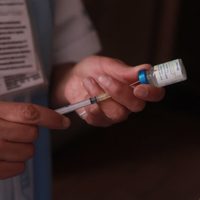 OMS alerta por posible escasez mundial de la vacuna contra la influenza