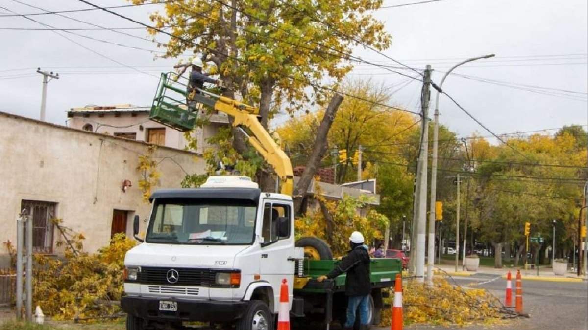 Las clases están dirigidas a que los estudiantes conozcan el árbol. Fuente: (Municipalidad de Plottier)