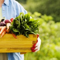Cómo hacer las compras y cuidar el planeta
