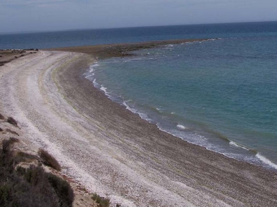 Un paraíso escondido en la Patagonia: pesca, aventura y todo lo que necesitás para llegar