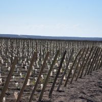 Proyectan construir una bodega en la localidad pampeana de Casa de Piedra